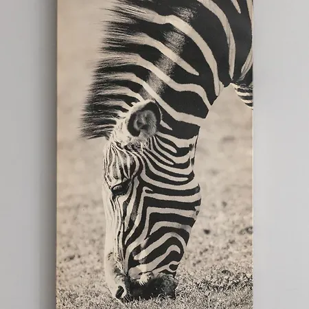 9 Maja Bright By Bookinghost Apartment *