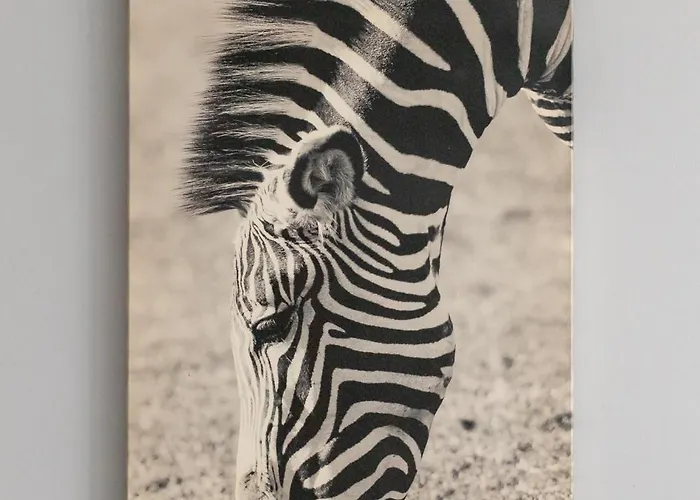 9 Maja Bright By Bookinghost Apartament *